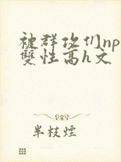 被群攻们np肉双性高h文封面