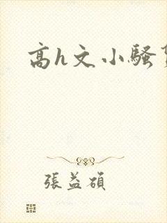 高h文小骚货
