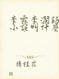 李霖李澜的官场小说叫什么