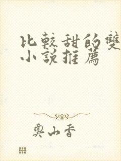 比较甜的双男主小说推荐