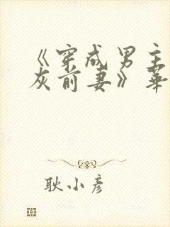 《穿成男主的炮灰前妻》华阙阙