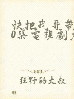 快把我哥带走30集电视剧免费