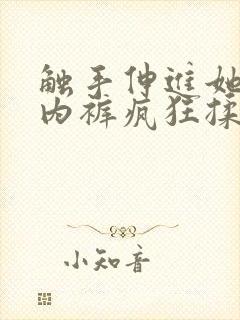 触手伸进她的小内裤疯狂揉摸