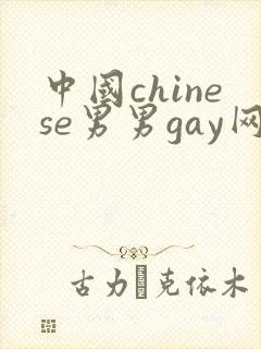 中国chinese男男gay网站