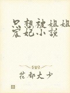 只想被姐姐惩罚宸妃小说封面