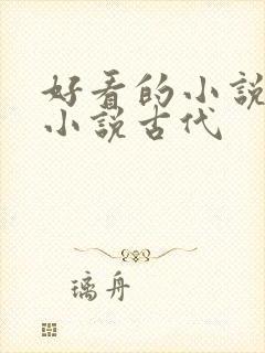 好看的小说言情小说古代封面