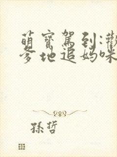 萌宝驾到:欢喜爹地追妈咪