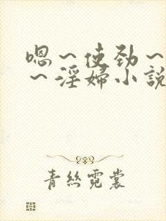 嗯～使劲～别停～淫妇小说