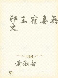 邪王宠妻无度全文