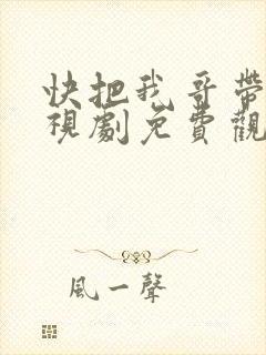快把我哥带走电视剧免费观看全集封面