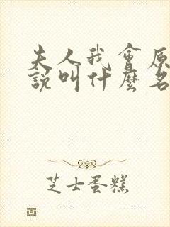 夫人我会原著小说叫什么名字来着封面