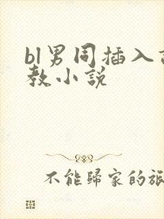 bl男同插入调教小说封面