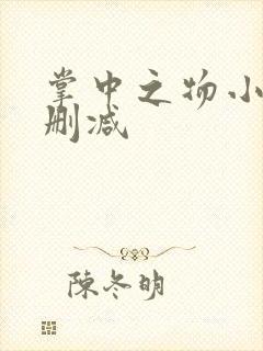 掌中之物小说无删减封面