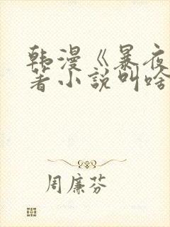 韩漫《暴夜》原著小说叫啥封面