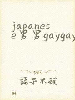 japanese男男gaygay网站