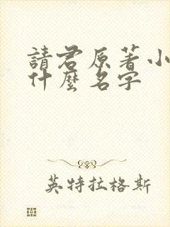 请君原著小说叫什么名字