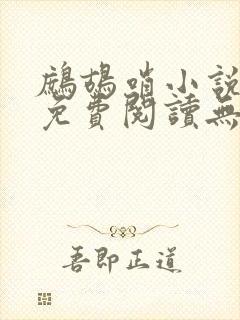 鹧鸪哨小说网站免费阅读无弹窗