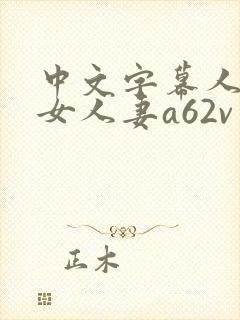 中文字幕人妻熟女人妻a62v网