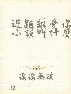 近距离爱你原著小说叫什么封面