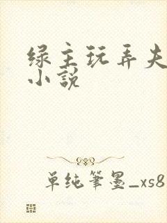 绿主玩弄夫妻奴小说