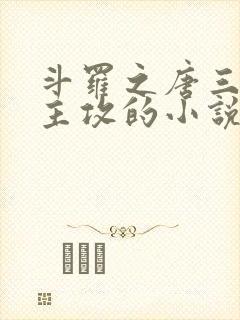 斗罗之唐三受男主攻的小说