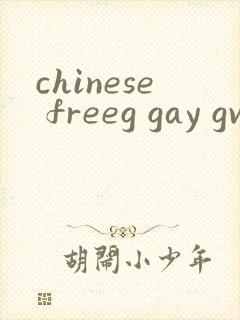 chinese freeg gay gv tv封面