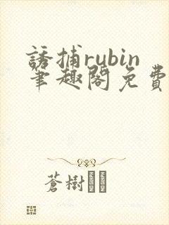 诱捕rubin笔趣阁免费阅读