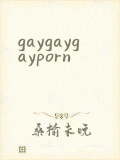 gaygaygayporn