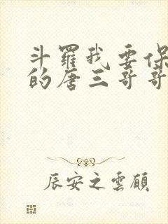 斗罗我要保护我的唐三哥哥免费阅读小说