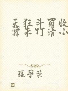 天狂斗罗收服小舞朱竹清小说封面
