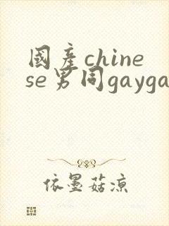 国产chinese男同gaygay