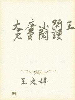 大唐小闲王李慎免费阅读封面