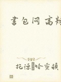 书包网 高辣文封面