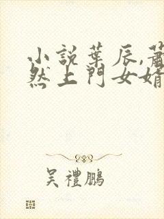 小说叶辰,萧初然上门女婿