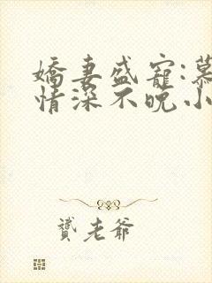 娇妻盛宠:慕少情深不晚小说