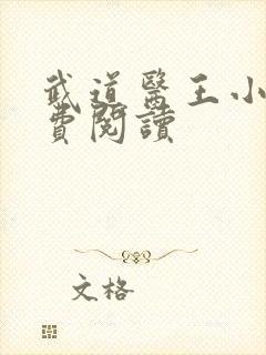 武道医王小说免费阅读