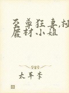 至尊狂妻,极品废材小姐