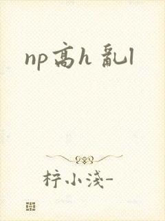np高h 乱l