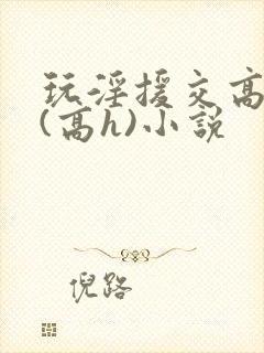 玩淫援交高中生(高h)小说