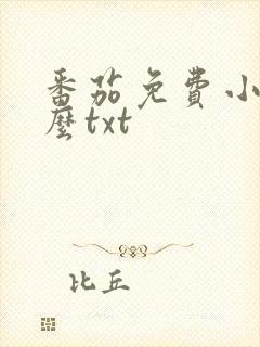 番茄免费小说怎么txt