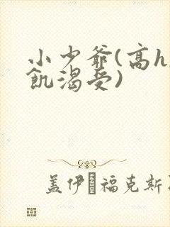 小少爷(高h,饥渴受)