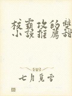 校霸攻的双男主小说推荐甜文