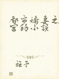 都市娇妻之美后宫的小说