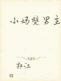 小妈双男主小说