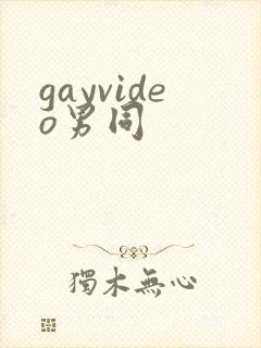 gayvideo男同