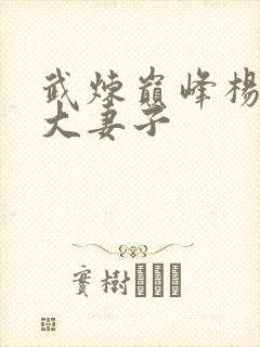 武炼巅峰杨开9大妻子