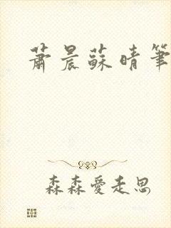 萧晨苏晴笔趣阁