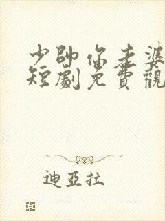 少帅你老婆又跑短剧免费观看在线播放