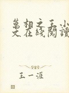 万相之王小说全文在线阅读封面