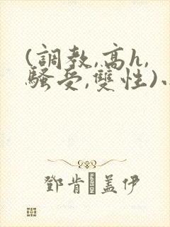 (调教,高h,骚受,双性)小说